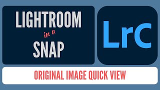 How to Quickly View the Original Image in Lightroom Classic [upl. by Menides336]