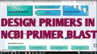 NCBI primer blast l Primer designing using ncbi blast I xgene and proteinx [upl. by Lahcim]