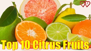 Top 10 Citrus Fruits You Should Definitely Give A Try [upl. by Aserehc]