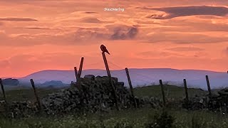 BLENCATHRA FELLS  ROUND 2 🔔🔔🥊🥊🥶🥶 Peak Bagging the Wainwright Fells [upl. by Lyudmila]