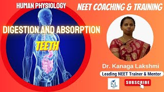 Digestion and Absorption HUMAN DENTITION  Dr Kanaga Lakshmi  NEET Biology 2023  NEET Coaching [upl. by Ettezil212]