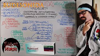 💊 Budesonida quotPulmicortquot Corticosteroide [upl. by Mcknight713]