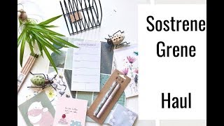 Sostrene Grene Haul XL  Schreibwaren amp Wohnaccessoires im Skandi Stil deutsch  planenaufpapier [upl. by Esialb]