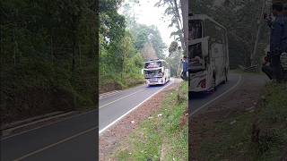 Bus Grand Pegasus trip rengganis teloletbasuri busmania bus bussimulatorindonesia [upl. by Feetal]