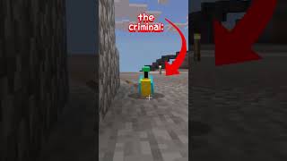 Parrot in Minecraft The Experience [upl. by Irisa426]