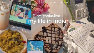 productive vlog 🧸✨  Aesthetic vlog Indian  life of an introvert girl  studying amp cooking vlog [upl. by Hike724]