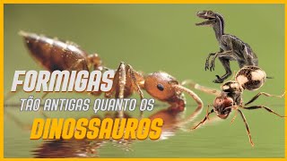 Curiosidades sobre as Formigas [upl. by Airdnua]