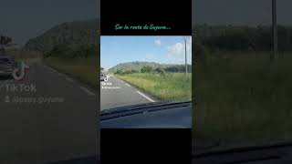 RN1 entre Kourou et Cayenne amazonia amazonie guyane cayenne nature travel travelvlog [upl. by Alfy]