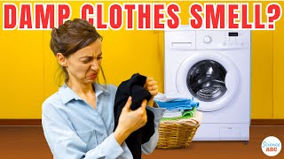 Why Do Damp Clothes Smell Bad [upl. by Ap570]