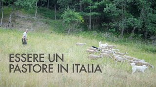 LAVORARE IN NATURA la vita da allevatore di Carlo e la sua convivenza con il lupo [upl. by Pauli]