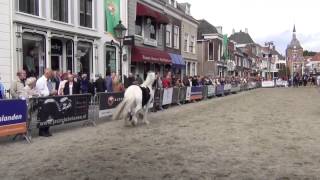 Paardenmarkt Vianen [upl. by Fidelas]