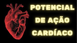 Potencial de ação cardíaco e contração do coração – Fisiologia Humana [upl. by Jakob816]