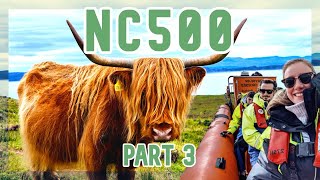 NC500  PART 3 WHALE WATCHING HAIRY COWS amp HAGGIS [upl. by Omarr]