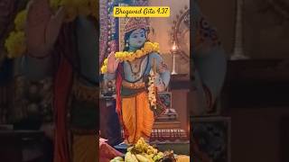 Bhagavad Gita 437 Chapter 4 Verse 37 Gita gitachanting bhagavadgita [upl. by Sirad77]