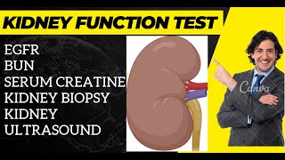 Kidney Function Test  Renal Function Test  BiologyLectures [upl. by Monica]