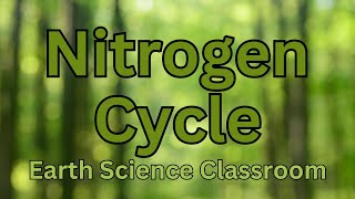 Detailing The Nitrogen Cycle [upl. by Ojahtnamas]