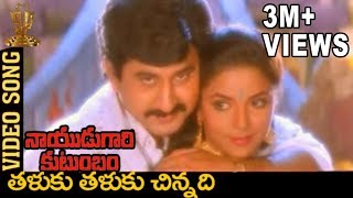 Taluku Thaluku Chinnadi Video Song  Naidugari kutumbam Telugu Movie  Suman  Swarna [upl. by Acired]