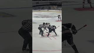 Huntsville Havoc Hockey Game in Huntsville Alabama [upl. by Melac]