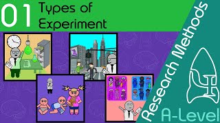 Types of Experiment  Research Methods  A Level Psychology [upl. by Geoff508]