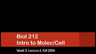 CSULB Biol 212 Fall 2024  Week 5 Lecture 2 [upl. by Freda]