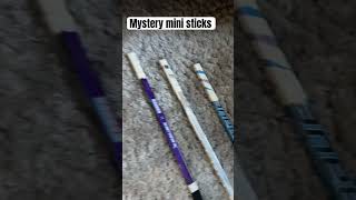 Mystery mini sticks hockey mystery mini [upl. by Yleoj74]