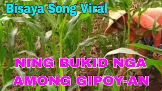 NING BUKID NGA AMONG GIPOYAN Viral Song Bisaya Song Parody Sa Kabukiran [upl. by Casaleggio677]