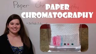 Paper Chromatography Demo [upl. by Cristi275]