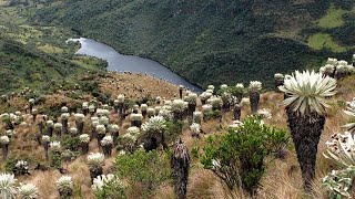 Ejercicio usos del suelo Adecuado Subutilizado y Sobreutilizado [upl. by Matusow732]