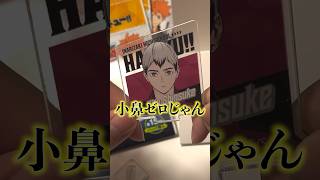 【1】DAISOで買えるハイキューグッズがレベル高すぎ！ ハイキュー haikyuu オタク 開封動画 商品紹介 daiso ダイソー [upl. by Alioz509]