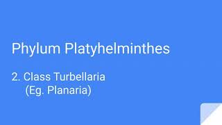 Phylum Platyhelminthes  Class II  Turbellaria [upl. by Ellynn]