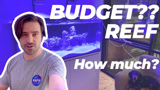 FAILING to stay on a budget with my Aqua One ReefSys Reef Aquarium [upl. by Valenba]