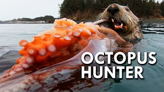 Sea Otter The Octopus Hunter [upl. by Hulbard]