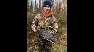 Northern New York Duck Hunting Double Banded Black Duck [upl. by Sung]