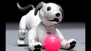 Sony Just Announced a New Aibo Robot Dog [upl. by Ebocaj]