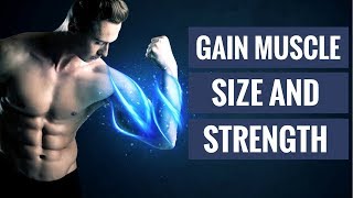 The 4 Best Supplements to Gain Muscle and Strength [upl. by Ahsoik]