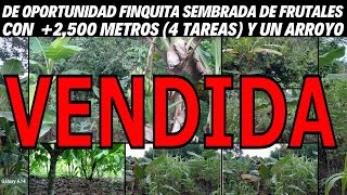 Finquita sembrada de Frutales de 2500 metros 4 tareas y un Arroyo en Anton Sánchez de Bayaguana [upl. by Kylah348]