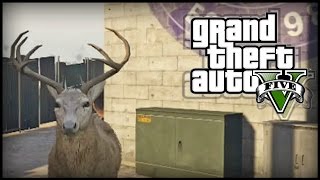 GTA 5 Next Gen  TWO Peyote Plant Locations 8 and 9  All Peyote Plants 927 Peyote Plants [upl. by Howard]