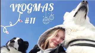 VLOGMAS 11  Nákupy 🛍️🎁 [upl. by Teresa362]