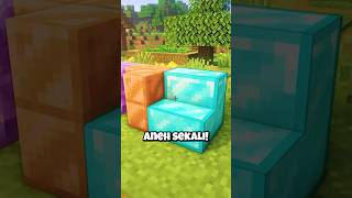 Block Paling ILLEGAL Di Minecraft [upl. by Corny]