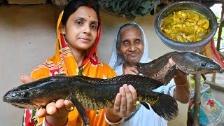 পুকুর থেকে জ্যান্ত পাকা শোল মাছ ধরে মাটির হাড়িতে ভাপা রান্না  Shol fishing amp cooking in clay pot [upl. by Hartwell147]