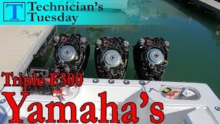 Servicing Triple 300 Yamaha Outboards  Technicians Tuesday [upl. by Suirtimid]