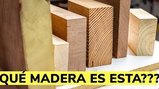 Cómo Identificar Los Tipos De Madera [upl. by Ennairda446]