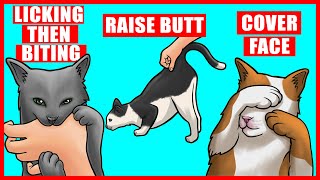 Real Meanings Behind 9 Strange Cat Behaviors Explained [upl. by Roxane247]