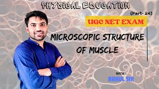 Microscopic structure of muscle fiber by Rahul sir  Muscular system  Physiology  PE UGC NET JRF [upl. by Hayalat969]