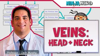 Circulatory System  Veins of the Head amp Neck  Flow Chart [upl. by Gerge292]