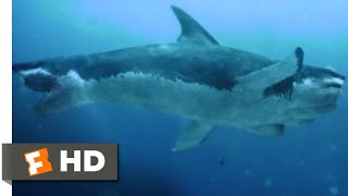 5Headed Shark Attack 2017  Tossing Grenades Scene 610  Movieclips [upl. by Nesyla316]