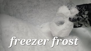 squeaky crunchy freezer frost [upl. by Yhtrod466]