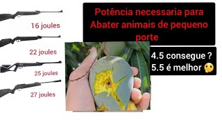 carabinas que nao derrubam uma manga  potencia e calibre necessarios [upl. by Karyl]