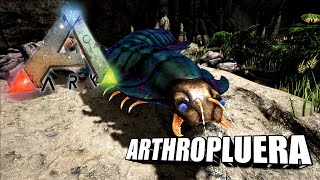 Taming A Arthropluera  Ark Survival Evolved  The Island [upl. by Weathers]