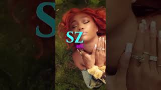 What does SZA mean music sza [upl. by Gimble]